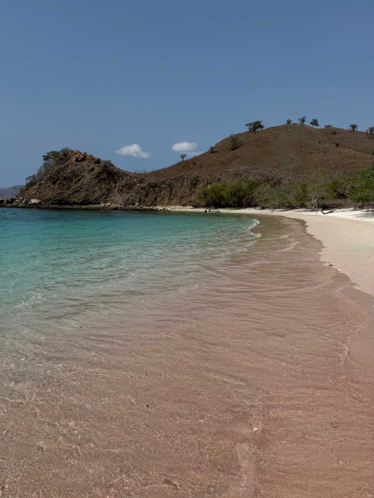 Pink Beach - Komodo